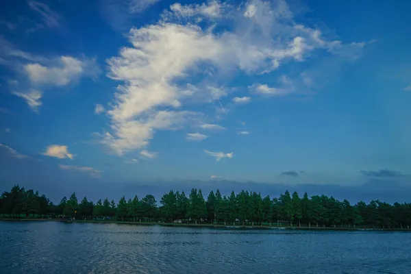 Лес Мидзумото Парк Голубое Небо Место Съемки Кацусика Токио — стоковое фото
