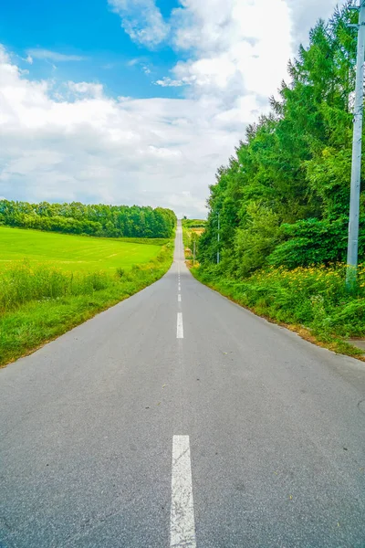 Hokkaido Lange Weg Natuur Schietplaats Hokkaido Biei Cho — Stockfoto