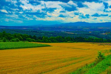 Tepeden yaz manzarası. Çekim Konumu: Hokkaido Furano