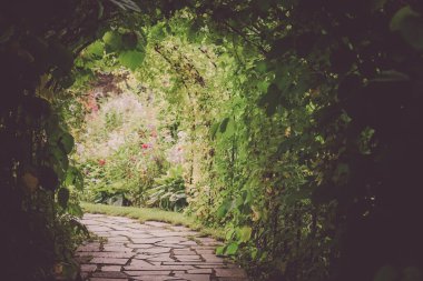 Bitki tüneli görüntüsü. Çekim Konumu: Hokkaido Furano