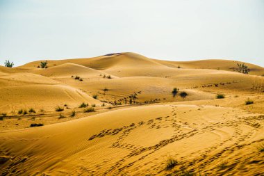 Arap çöl görüntüsü. Çekim Konumu: Dubai