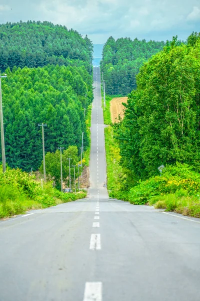 Hokkaido Largo Camino Naturaleza Ubicación Del Disparo Hokkaido Biei Cho — Foto de Stock