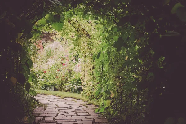 Bitki tüneli görüntüsü. Çekim Konumu: Hokkaido Furano