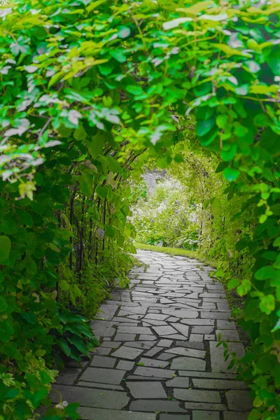 Imagem Túnel Das Plantas Localização Tiro Hokkaido Furano — Fotografia de Stock