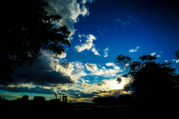 Silueta Anochecer Árboles Ubicación Del Disparo Setagaya Tokyo — Foto de Stock