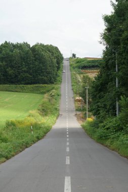 Hokkaido uzun yolu ve doğa. Çekim Konumu: Hokkaido Biei-cho