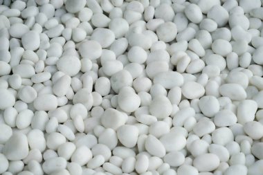 Büyük miktarda beyaz daire. Çekim yeri: Kamakura Şehri, Kanagawa Bölgesi