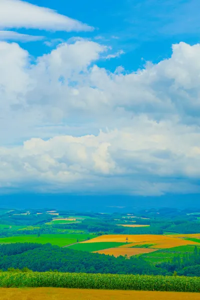 Letni Krajobraz Wzgórza Miejsce Fotografowania Hokkaido Furano — Zdjęcie stockowe