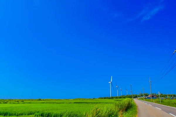 Många Vindkraftverk Förnybar Energi Fotografering Plats Akita — Stockfoto