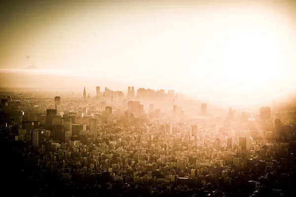 新宿福林和暮色的画面 射击地点 东京新宿 — 图库照片