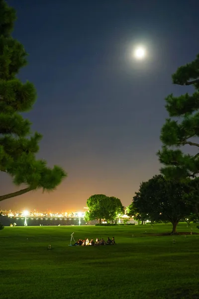 夜のピクニック 撮影場所 横浜市西区 — ストック写真