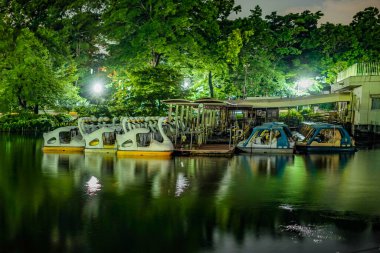 Gece ve ördek teknesi Inos 'un baş mesken parkında. Çekim yeri: Tokyo Musashino Şehri