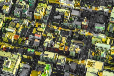 Tokyo şehir manzarası (Tokyo Gökyüzü Ağacı 'ndan çekim). Çekim yeri: Sumida Ward, Tokyo