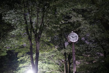 Inokashiro Parkı 'nın gecesi. Çekim yeri: Tokyo Musashino Şehri