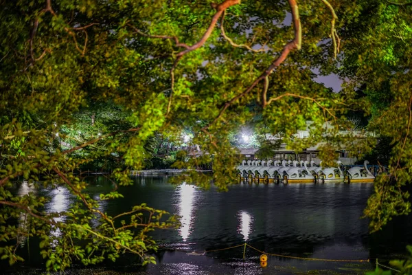 イノスヘッド住居公園の夜とアヒルのボート 撮影場所 東京都武蔵野市 — ストック写真