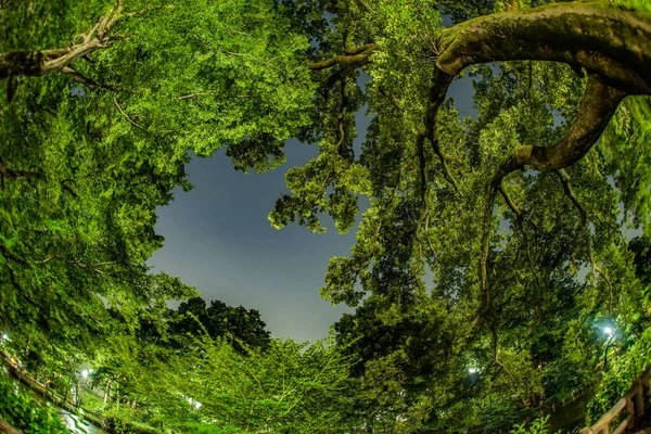 Nacht Inokashiro Park Drehort Tokio Musashino City — Stockfoto