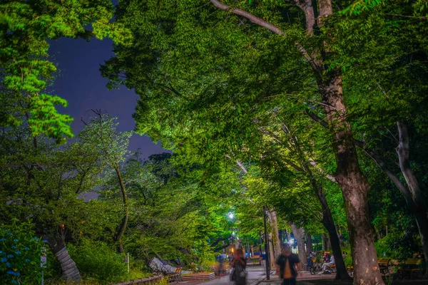 Nacht Van Het Inokashiro Park Schietplaats Tokyo Musashino City — Stockfoto