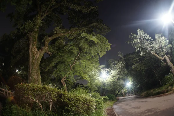 江户一郎公园的夜晚射击地点 东京武藏野市 — 图库照片