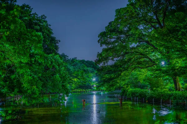 井の頭公園の夜 撮影場所 東京都武蔵野市 — ストック写真