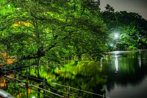 Notte Del Parco Inokashiro Luogo Delle Riprese Tokyo Musashino City — Foto Stock