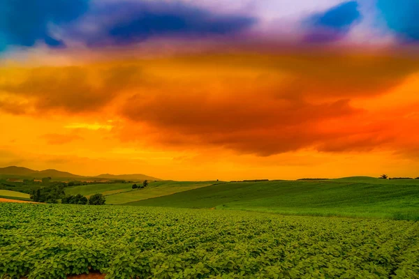 Nature Dusk Biei Cho Shooting Location Hokkaido Biei Cho — Stock Photo, Image