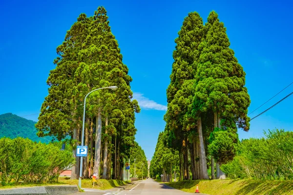 Torapista Entrada Extranjero Ubicación Del Disparo Hokuto City Hokkaido —  Fotos de Stock