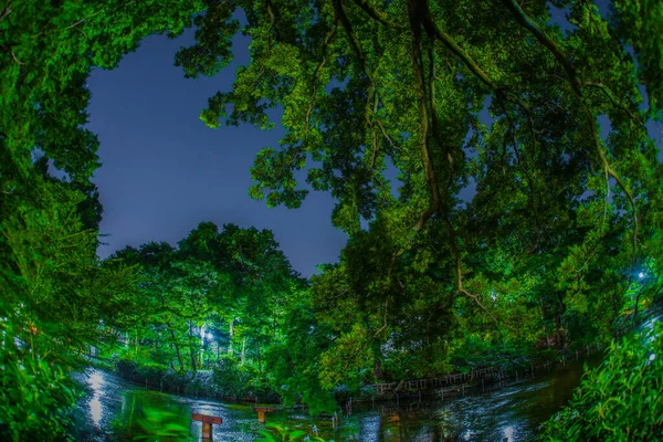 井の頭公園の夜 撮影場所 東京都武蔵野市 — ストック写真