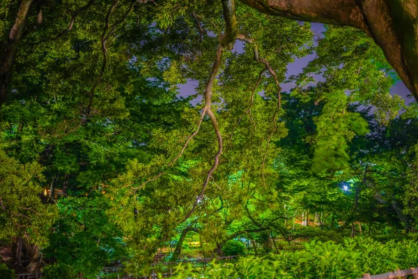 Noite Parque Inokashiro Localização Tiroteio Tokyo Musashino City — Fotografia de Stock