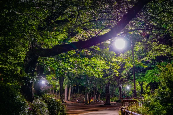 Notte Del Parco Inokashiro Luogo Delle Riprese Tokyo Musashino City — Foto Stock