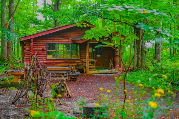 Hong Floresta Localização Tiro Hokkaido Furano — Fotografia de Stock