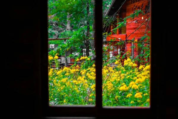 Ogród Kwiatowy Gwałtu Widziany Okna Dom Lesie Miejsce Fotografowania Hokkaido — Zdjęcie stockowe