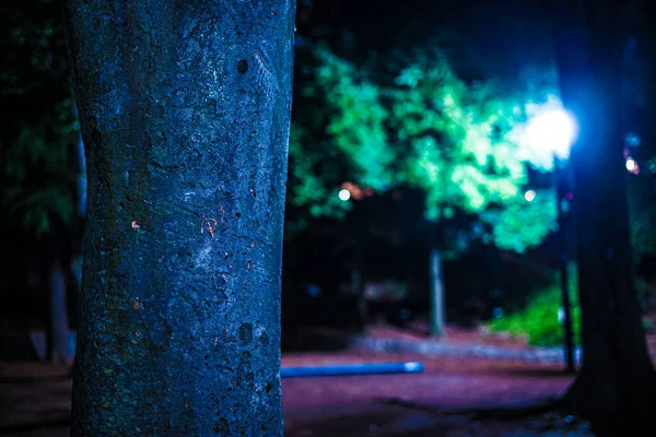 井の頭公園の夜 撮影場所 東京都武蔵野市 — ストック写真