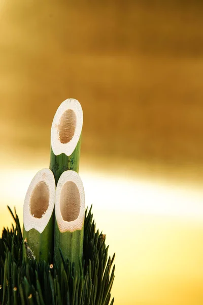 Kadomatsu Och Shizukuba Fotografering Plats Yokohama City Kanagawa Prefektur — Stockfoto