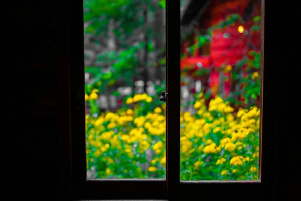 Pencereden Ormandaki Görülen Tecavüz Çiçeği Bahçesi Çekim Konumu Hokkaido Biei — Stok fotoğraf