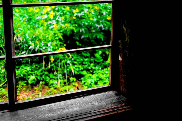 Rapsblumengarten Vom Fenster Aus Gesehen Haus Wald Drehort Hokkaido Biei — Stockfoto