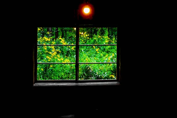 Ogród Kwiatowy Gwałtu Widziany Okna Dom Lesie Miejsce Fotografowania Hokkaido — Zdjęcie stockowe