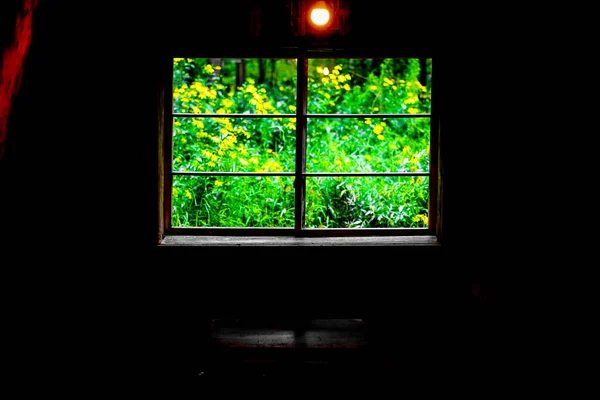 Janela Casa Floresta Localização Tiroteio Hokkaido Biei Cho — Fotografia de Stock