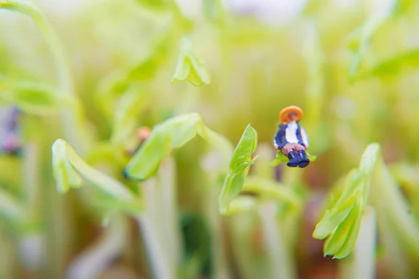 Pequeña Persona Sentada Hojas Árbol Ubicación Del Disparo Yokohama City — Foto de Stock