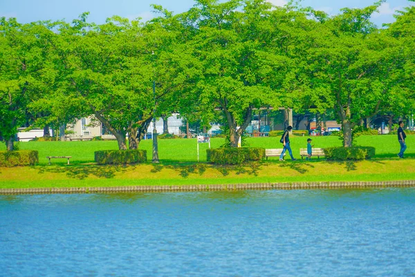 New green of Mizumoto Park. Shooting Location: Katsushika-ku, Tokyo
