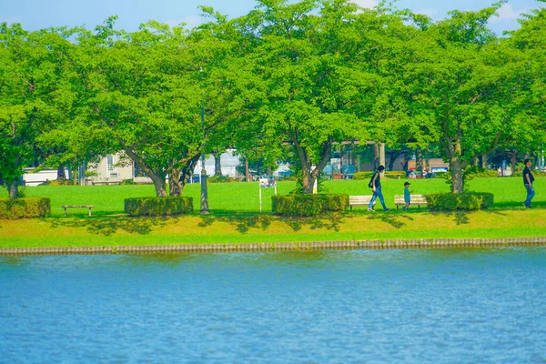 New Green Mizumoto Park Shooting Location Katsushika Tokyo — Stock fotografie