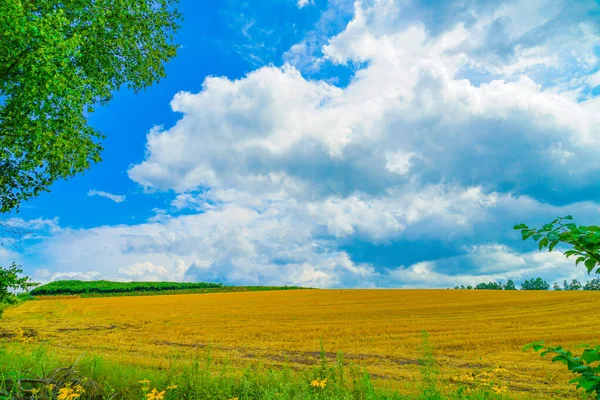 Hokkaido Wiesenbild Drehort Hokkaido Biei Cho — Stockfoto