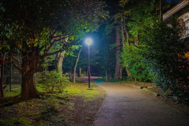 Night view of the well park. Shooting Location: Mitaka City, Tokyo