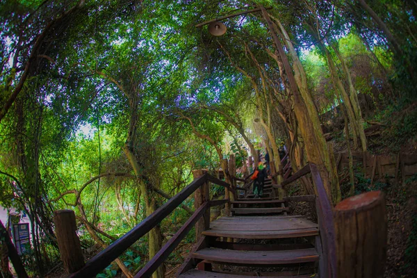 Sanctuary Truth Nature Shooting Location Thailand Pattaya — Stock Photo, Image