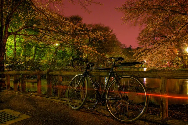 Night View Well Park Shooting Location Mitaka City Tokyo — стоковое фото