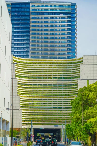 Cidade Koto Tóquio Localização Tiroteio Kyoto Ward Tokyo — Fotografia de Stock