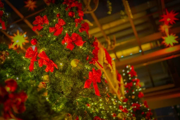 Decorazione Dell Albero Natale Luogo Delle Riprese Minato Tokyo — Foto Stock