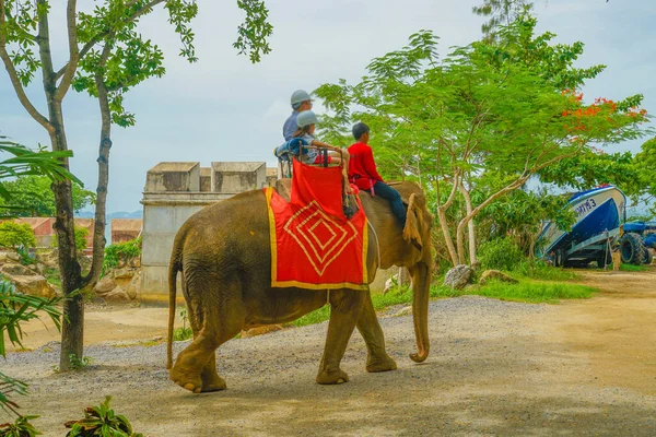 Persone Che Cavalcano Elefanti Santuario Oob Verità Luogo Ripresa Thailandia — Foto Stock