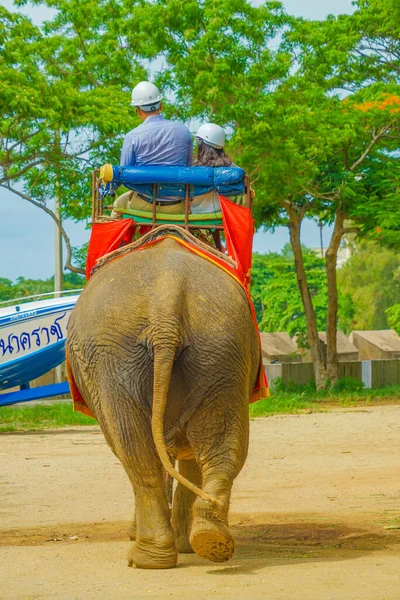 Menschen Die Elefanten Reiten Sanctuary Oob Truth Drehort Thailand Pattaya — Stockfoto