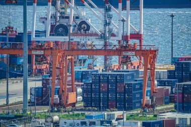 Keihin Endüstrisindeki bitki grubu. Çekim yeri: Kawasaki Şehri, Kanagawa Bölgesi