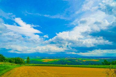 Hokkaido Furano düzlüğü. Çekim Konumu: Hokkaido Furano
